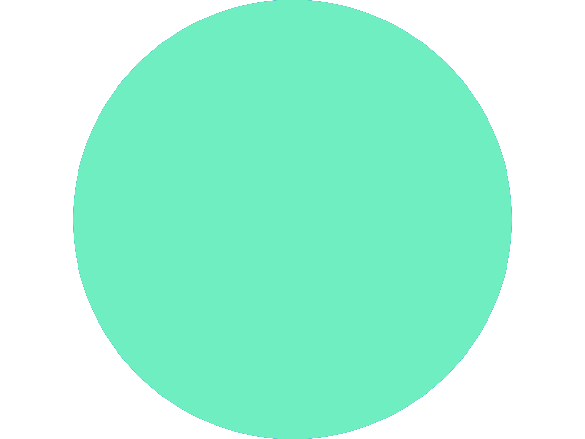 Mint circle